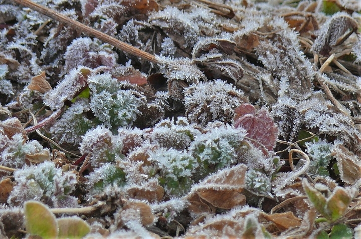 P1300059.JPG