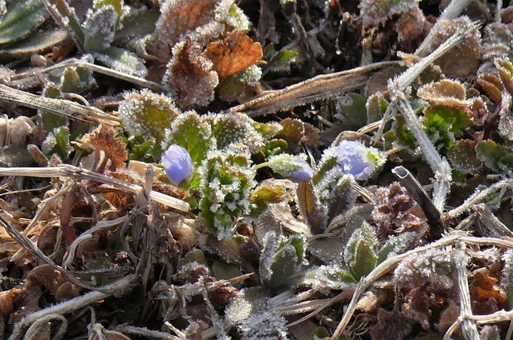 P1300060.JPG