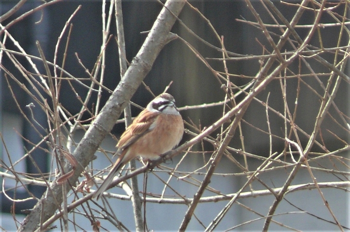 P1300076.JPG