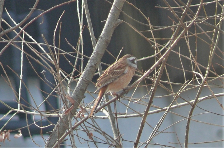 P1300077.JPG