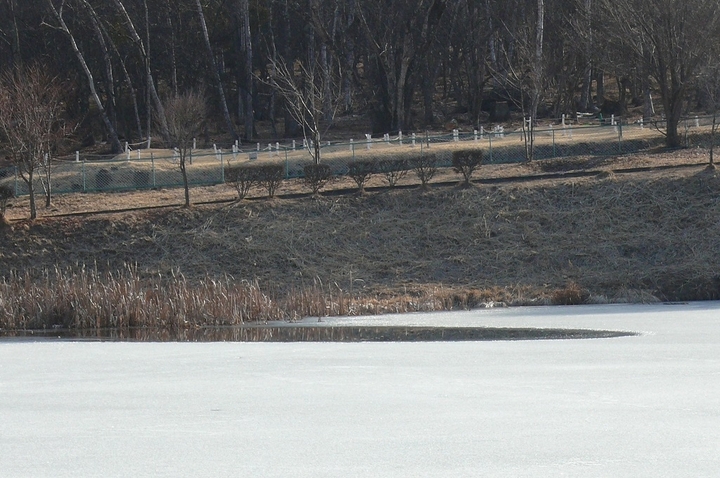 P1300100.JPG