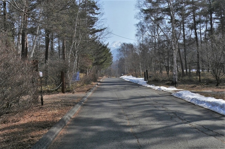 P1300129.JPG