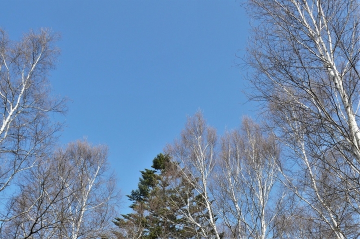 P1300131.JPG