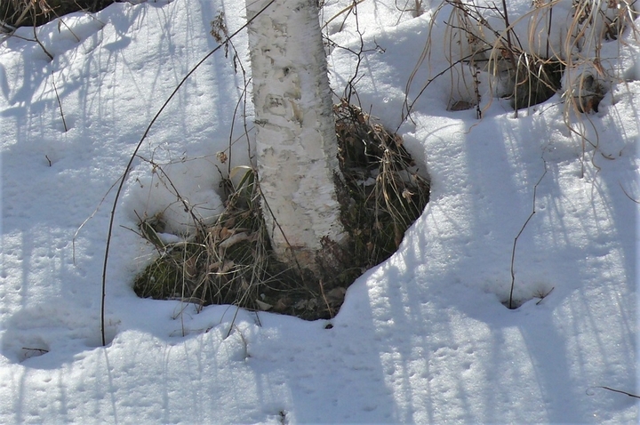 P1300134.JPG