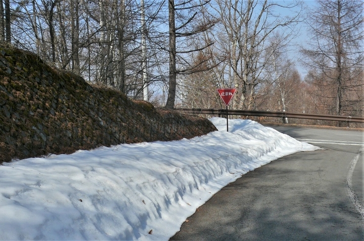P1300136.JPG