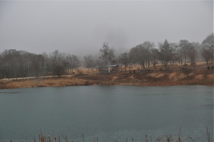 P1300276.JPG