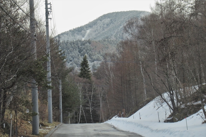 IMG_8986.JPG