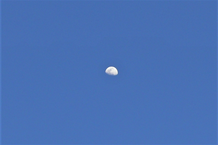 P1300793.JPG
