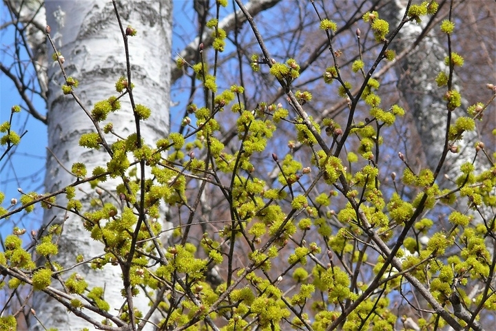 P1300871.JPG