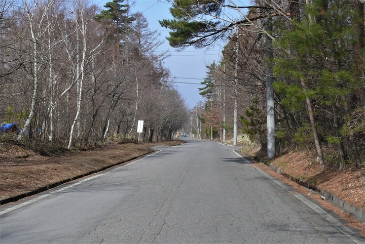 P1300874.JPG