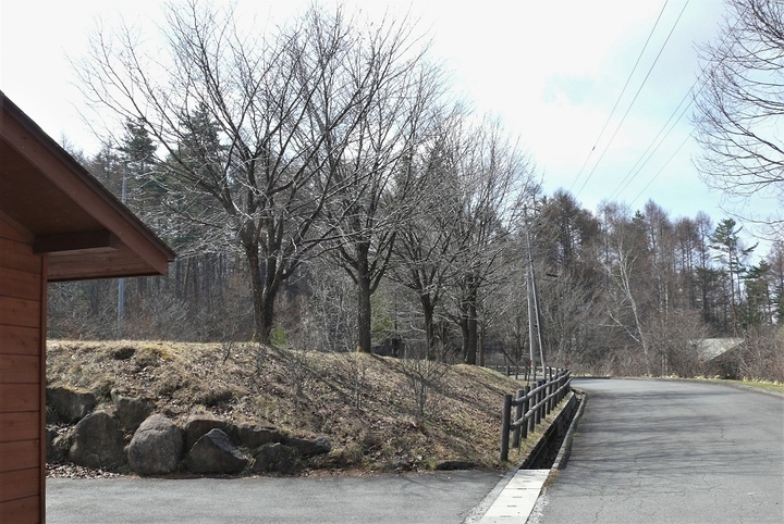 P1300906.JPG