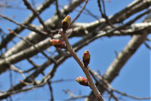 P1300954.JPG