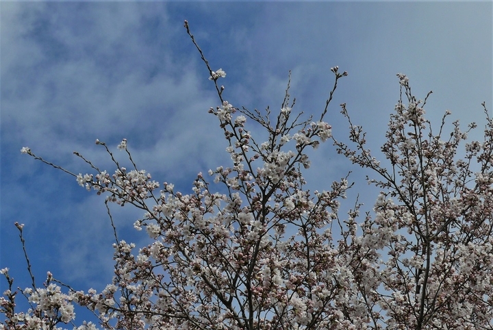 P1310001.JPG