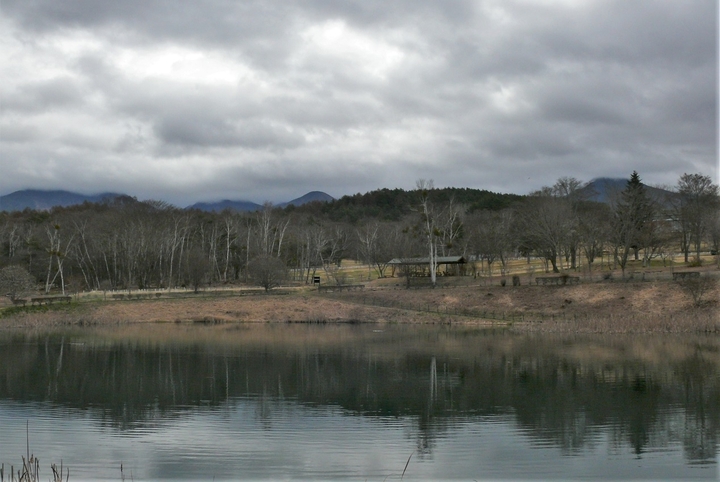 P1310010.JPG