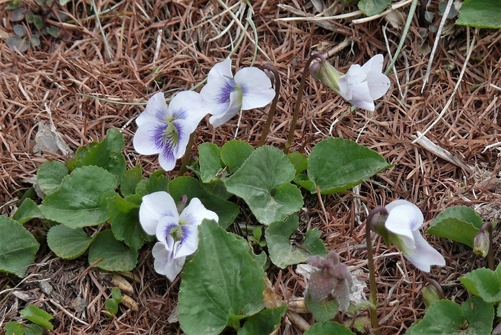 P1310020.JPG