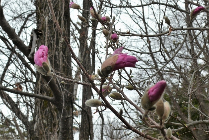 P1310027.JPG