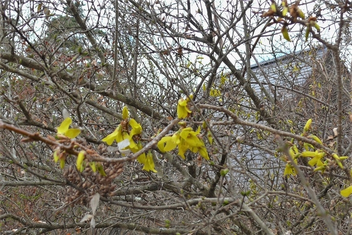 P1310028.JPG