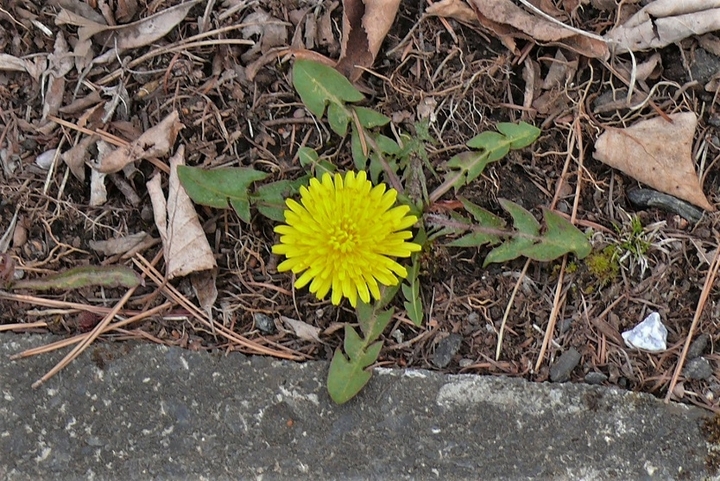 P1310030.JPG