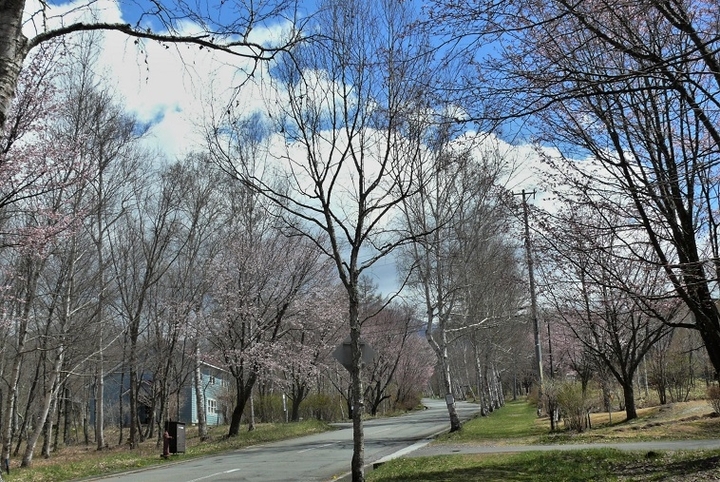 P1310371.JPG