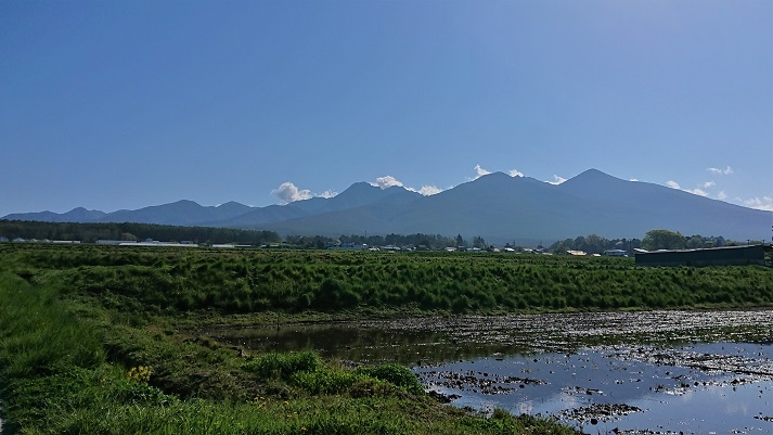 DSC_3093.JPG