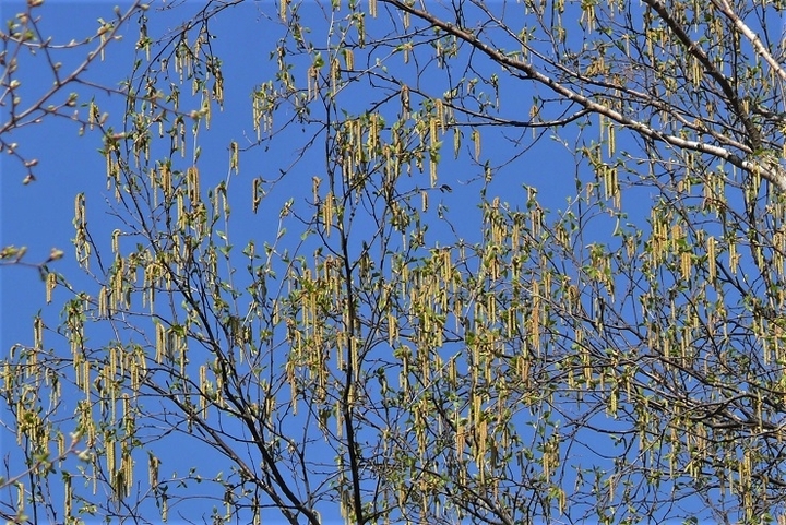 P1310796.JPG