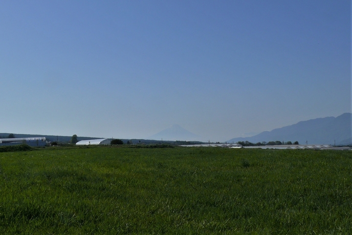 P1310878.JPG