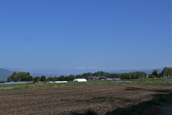 P1310879.JPG
