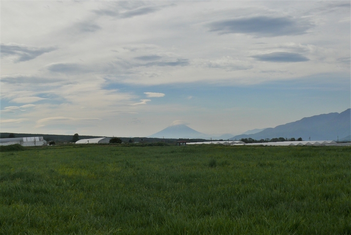 P1310927.JPG