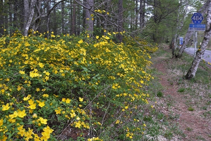 P1310937.JPG