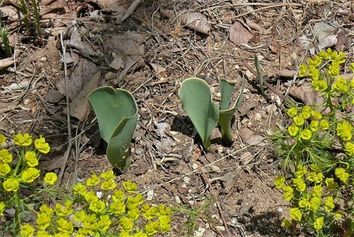 P1310961.JPG