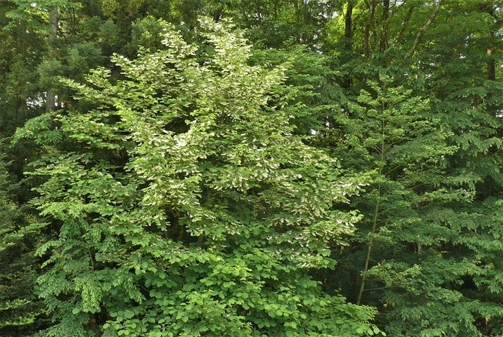 P1320322.JPG