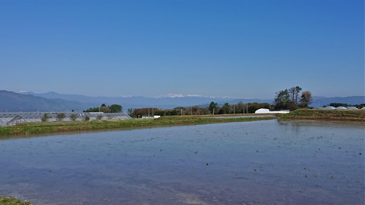 DSC_3095.JPG