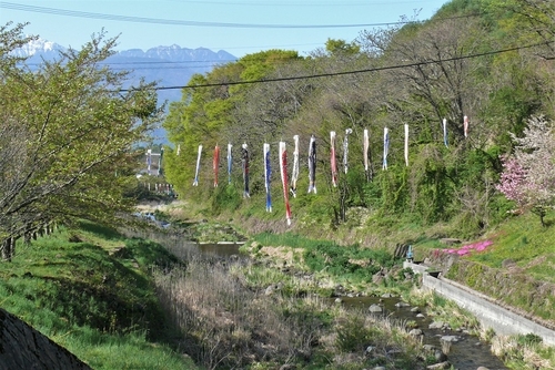 P1310876.JPG