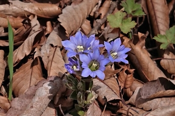 DSC_3099.JPG