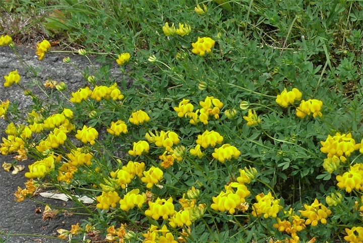 P1330418.JPG