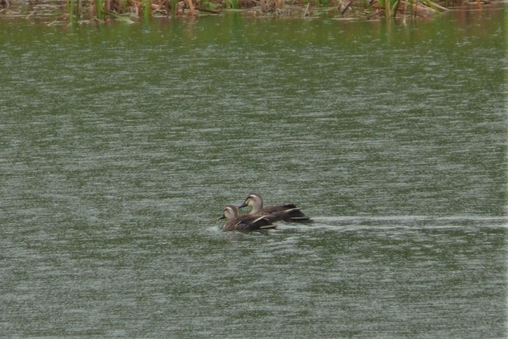 P1330429.JPG