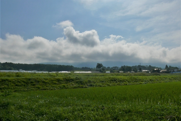 P1330544.JPG