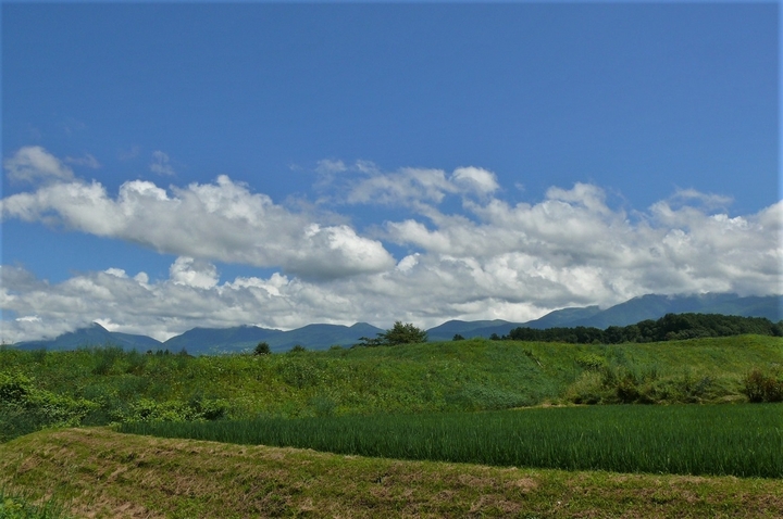 P1340221.JPG