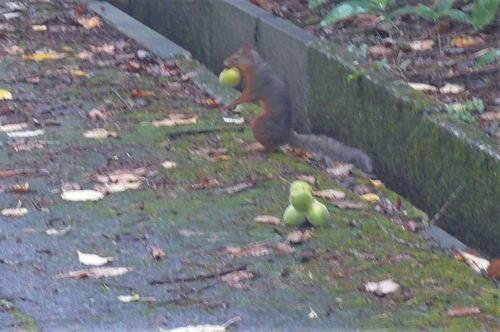 P1350182.JPG