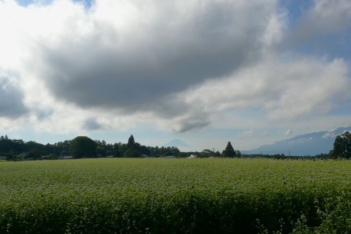 P1350616.JPG