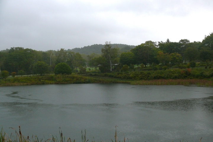 P1360436.JPG