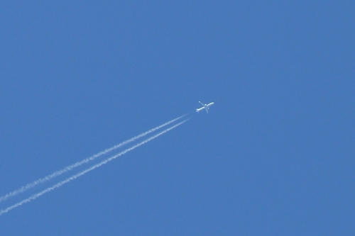 P1360856.JPG