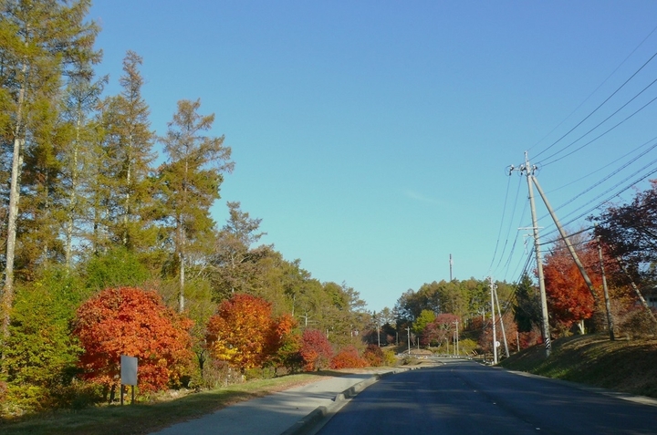 P1370047.JPG
