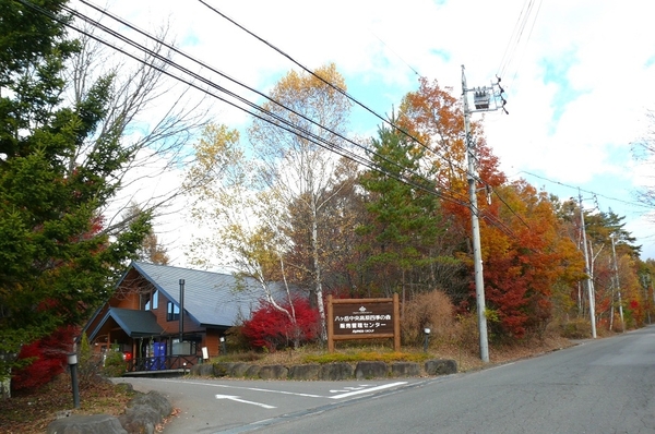 P1370199.JPG