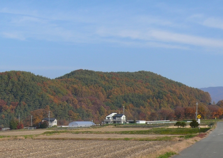 P1370353.JPG