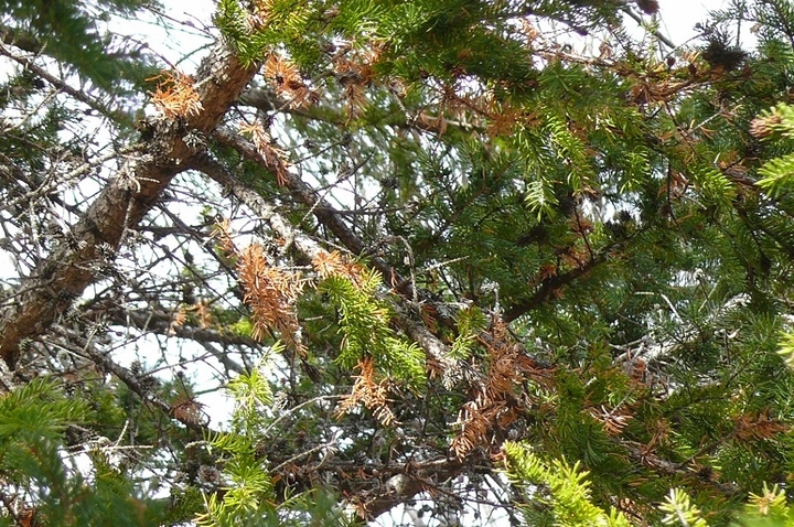 P1370566.JPG