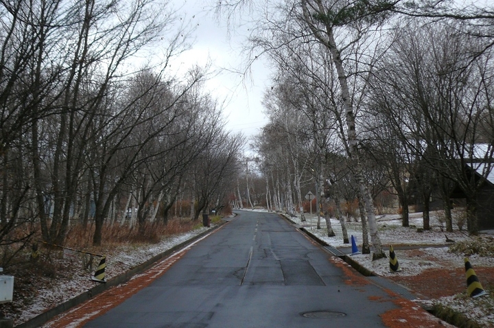 P1370867.JPG