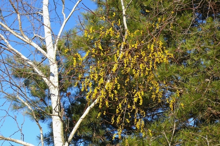 P1380316.JPG