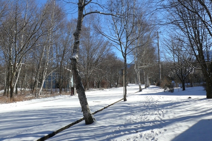 P1390076.JPG