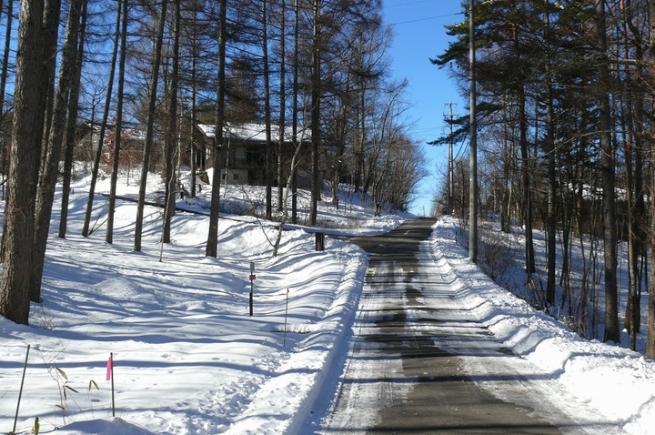 P1390491.JPG